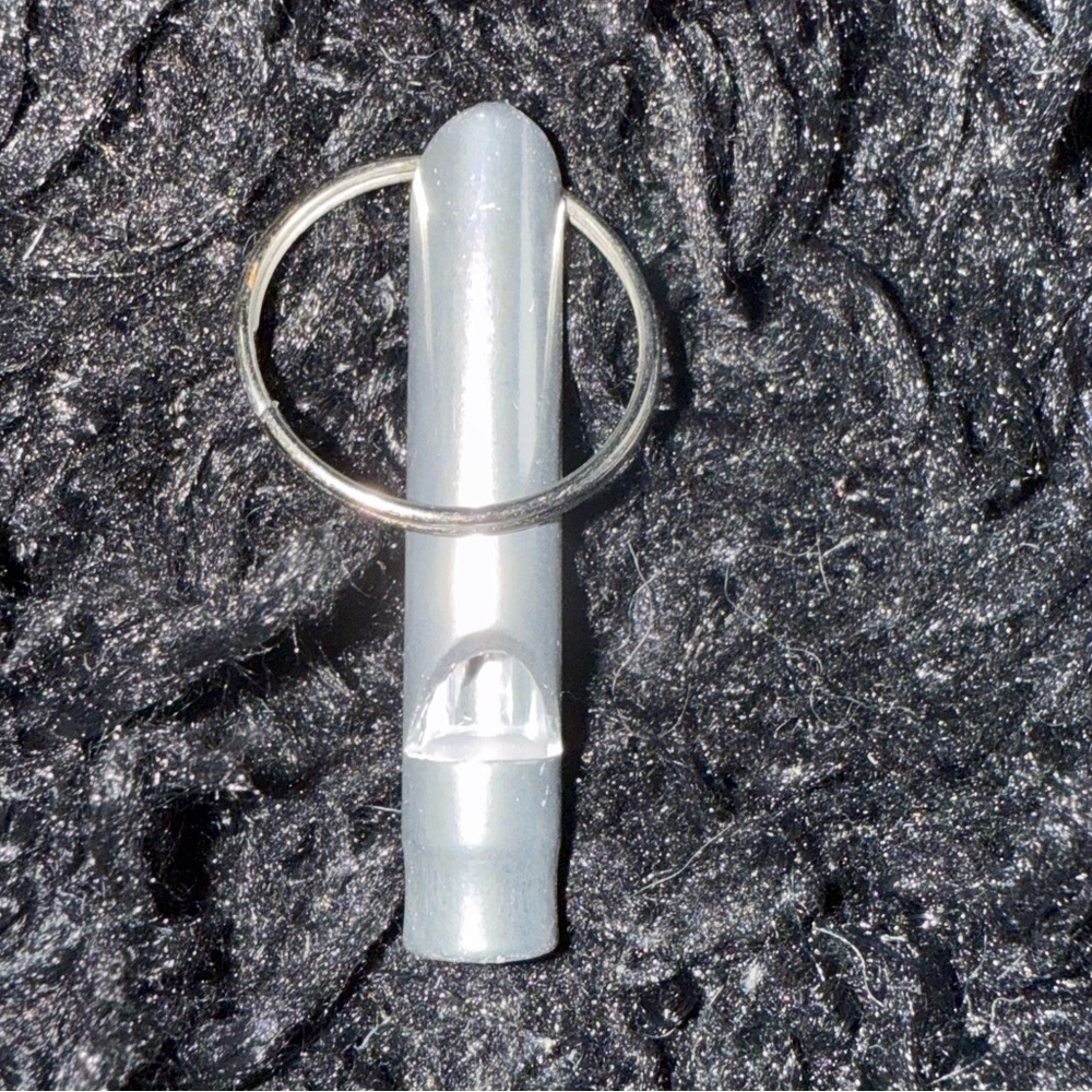 Silver keychain‎ - Picture 7 of 9
